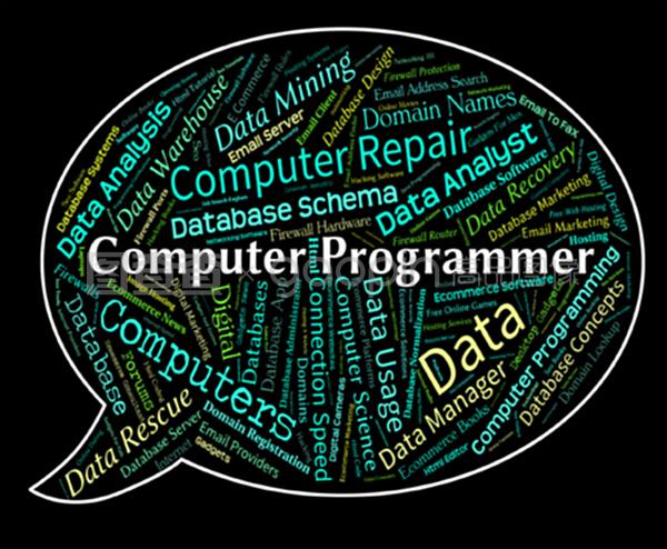 计算机程序员是指软件工程师和通信人员