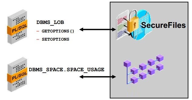 Oracle DB 数据安全管理实践与火龙果软件工程应用